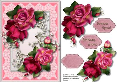 Beautiful Vibrance Roses and Babys Breath 