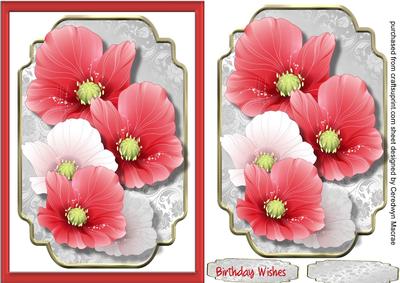 Beautiful Poppies on a Silver Mat