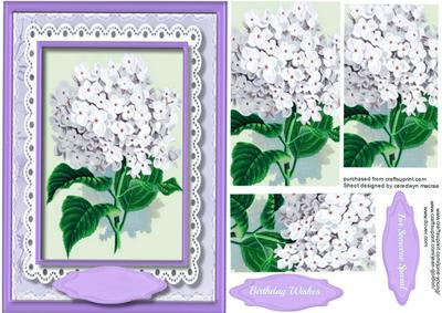 Beautiful White Hydranger Ina Lilac Frame 