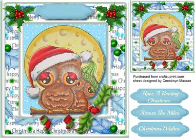 Have a Hoot of a Christmas 