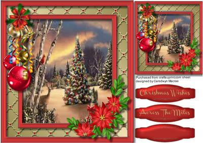 Beautiful Christmas , with Poinsettia's 