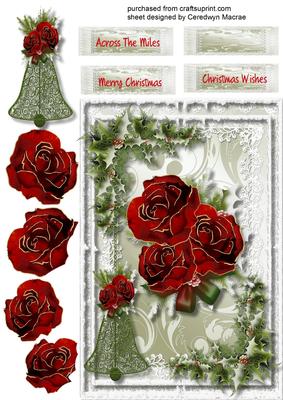 Beautiful Christmas Roses Andf Holly 