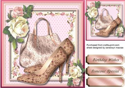 Lovely Shoes and Bag 