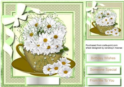 Beautiful Cup of White Daisy's