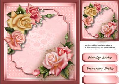 Beautidul Pink Edwardian Roses 