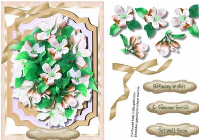 Lovely Blossom in a Cream Frame 
