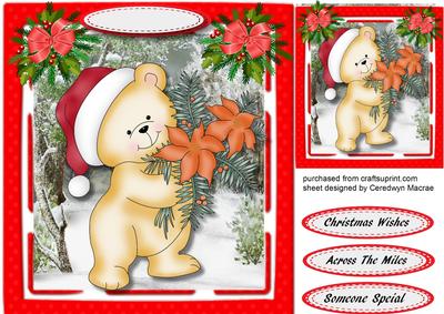 Lovely Poinsettia Bear