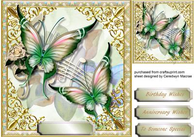 Lovely Greenandpink Butterfly's and Music 