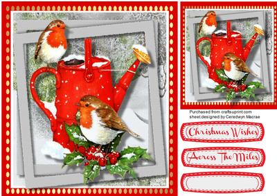 Robins on the Watering Can