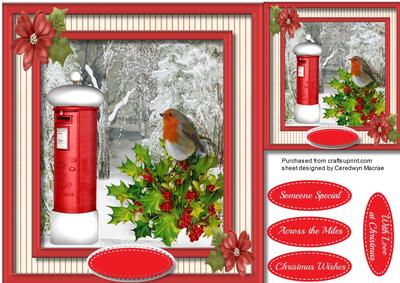 Lovely Robin at the Mailbox 