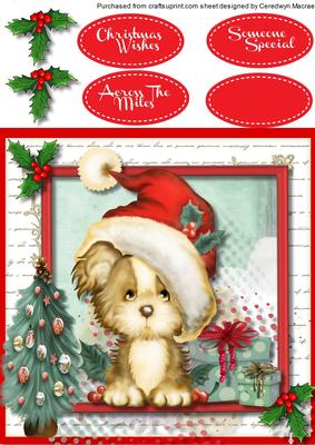 A Home for Christmas