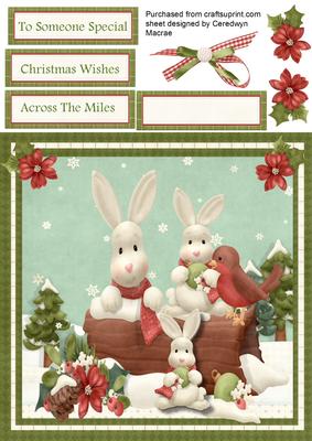 Lovely Rabbits Playing in Thicket Forest 