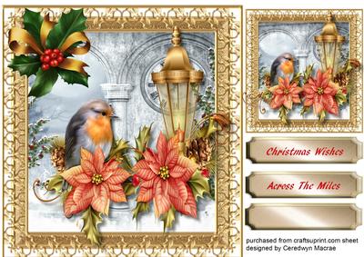 Beautiful Robin and Poinsettias 