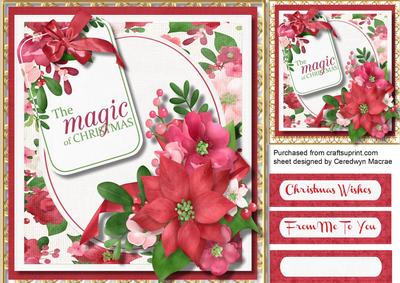 Festive Flowers at Christmas