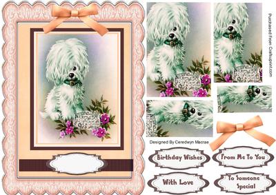 Lovely Little Pup in Peach 