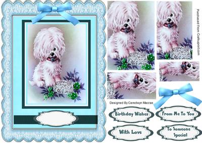Lovely Little Pup in Aqua