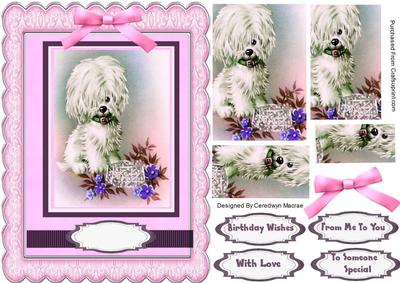 Lovely Little Pup in Pink 