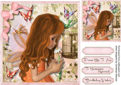 Beautiful Fairy Fra and Butterfly's