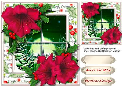Beautiful Red Christmas Amaryllis 