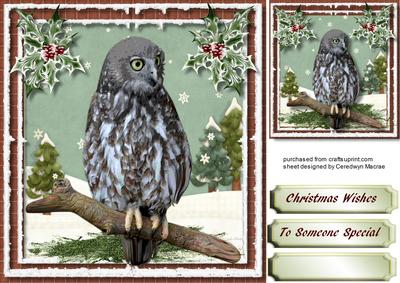 Male Christmas Card, the Night Owl