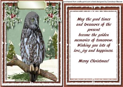 Lovely Male Card with Verse , the Night Owl