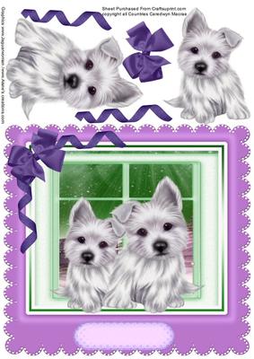 Lovely Scotties in the Window ,lilac