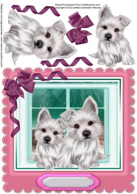 Lovely Scotties in the Window , Pink