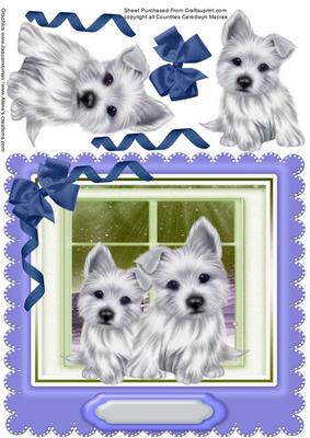 Lovely Scotties in the Window , Blue
