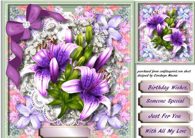 Beautiful Lilac Cullies 
