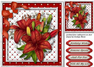 Beautiful Red Cullies on Lace 