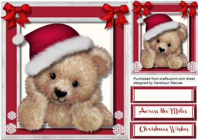 Fuzzy Bear in His Christmas Hat 