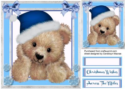 Fuzzy Bear in His Blue Christmas Hat