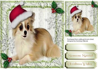 Little Chihuahua in a Christmas Hat 