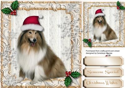 Lovely Collie in His Christmas Hat