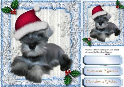 Lovely Schnauzer in a Chrtistmas Hat