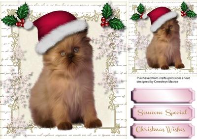 Lovely Christmas Kitty in a Hat