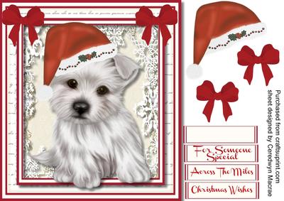 Beautiful Westie with His Christmas Hat 