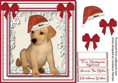 Lovely Lab Pup in His Christmas Hat