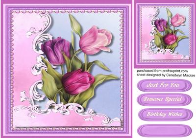 Beautiful Tulips for Someone Special