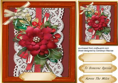 Lovely Poinsettias on Lace 