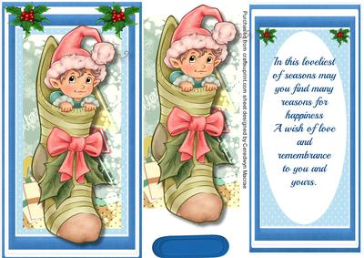 D.l. Lovely Gnome in a Stocking .with Verse 