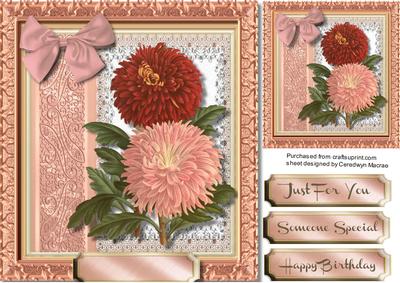 Beautiful Chrysanthemum's on Lace