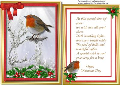 Beautiful Robin on the Drinking Bath ,with Verse .