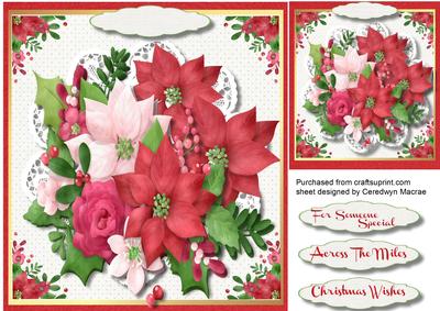 Beautiful Festive Flowers for Christmas