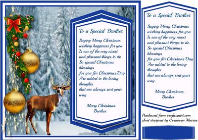 To Ma Sppecial Brother at Christmas, with Verse 