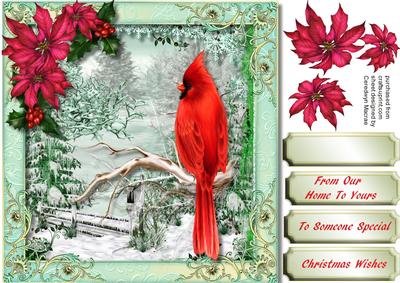 Beautiful Cardinal in the Snow 