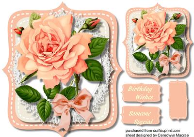 Stunning Roseon a Stitched Mat