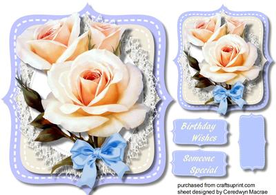 Stunning Cream Rose on Astitched Mat 