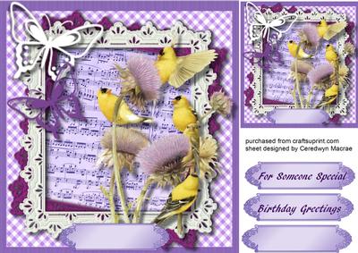 Lovely Finches on Thistles