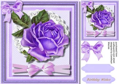 Beaitiful Lilac Roseon Lace with Ribbon Bow 